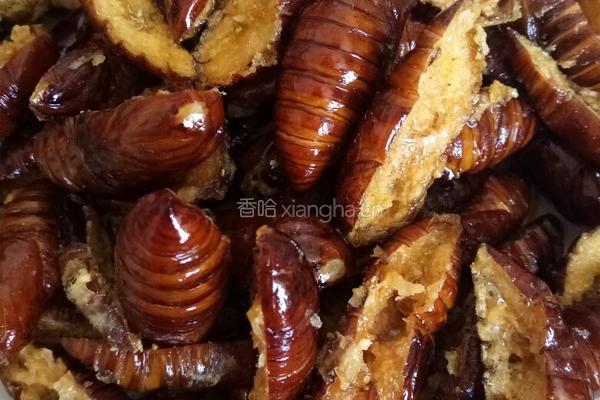 香酥蚕蛹的做法图解5