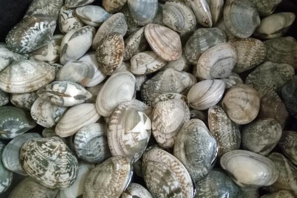 海鲜打卤面的做法图解1