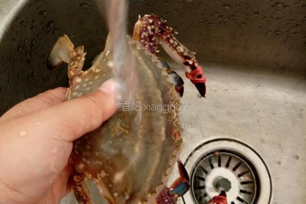 清蒸螃蟹的做法图解1