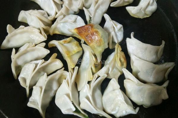 鲜肉煎饺的做法图解13