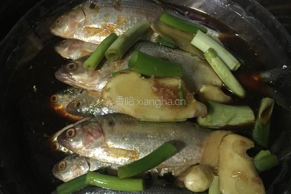 酥海鲫鱼的做法图解4