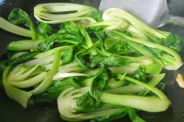 蒜香上海青的做法图解4