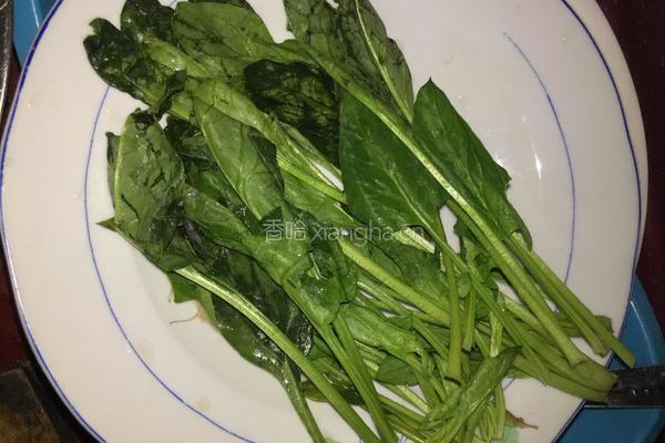 蘑菇蔬菜肉丸子汤的做法图解1