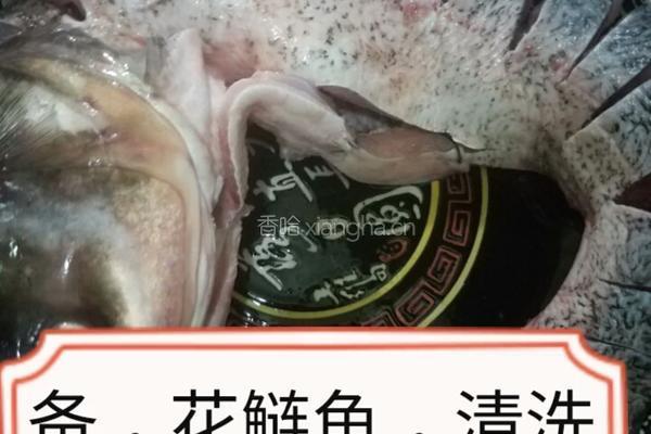 酱顿花鲢鱼的做法图解1