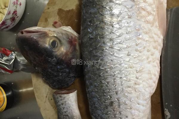 剁椒梭鱼的做法图解2