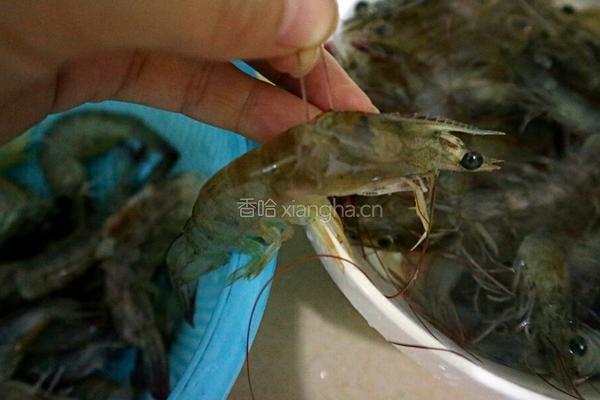避风塘炒虾的做法图解1