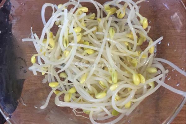 粉皮鲢鱼头汤的做法图解8