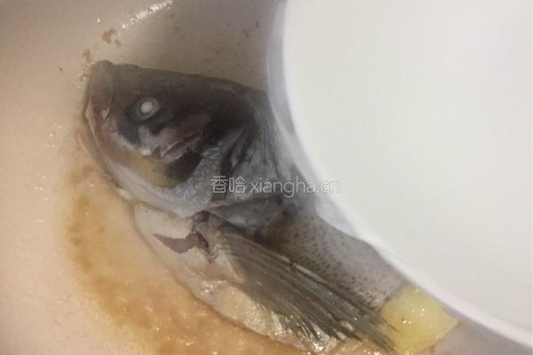 粉皮鲢鱼头汤的做法图解12