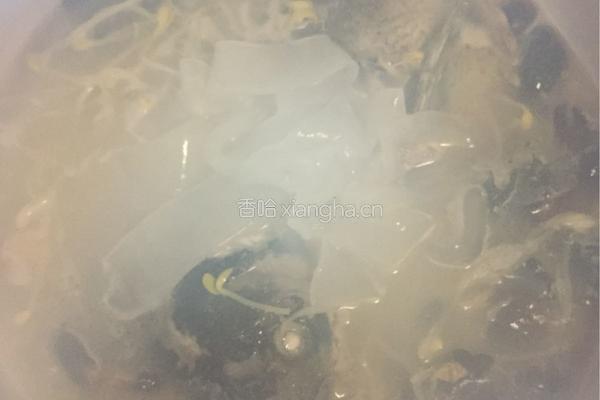 粉皮鲢鱼头汤的做法图解16