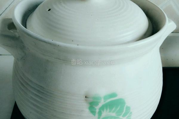 蕃茄炖牛腩的做法图解14