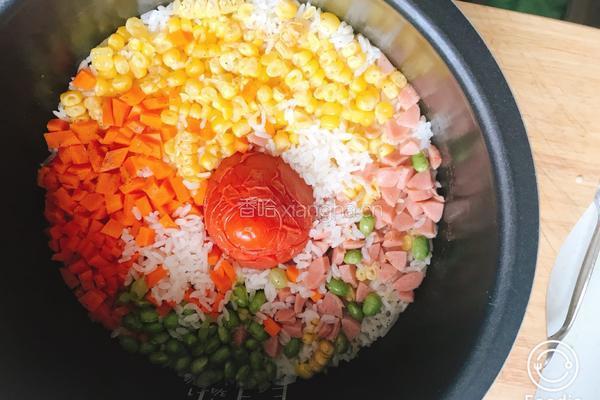 蕃茄焖饭的做法图解6