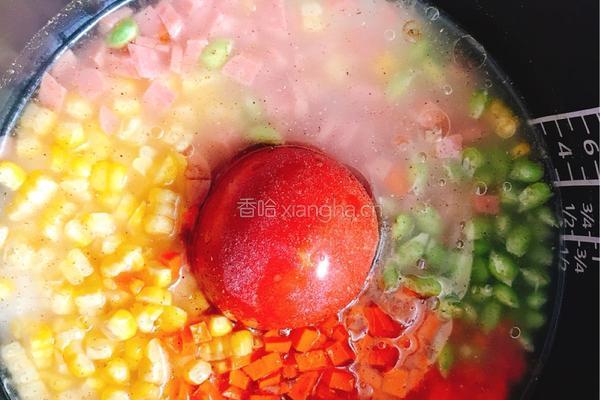 蕃茄焖饭的做法图解5