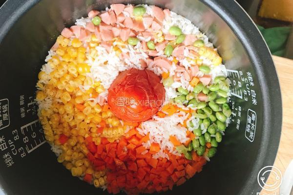 蕃茄焖饭的做法图解8