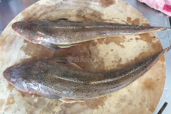 巴子鱼炖豆腐的做法图解1