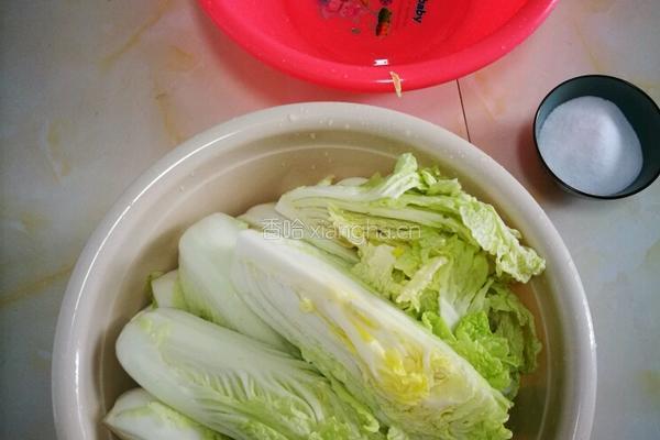 韩国泡菜的做法图解1