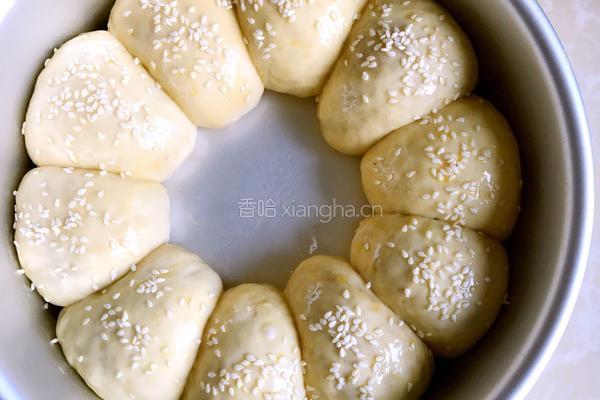 海苔肉松面包的做法图解18