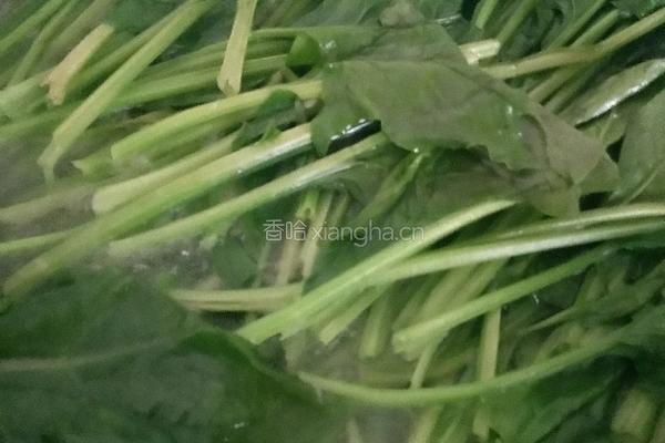炝拌菠菜的做法图解2