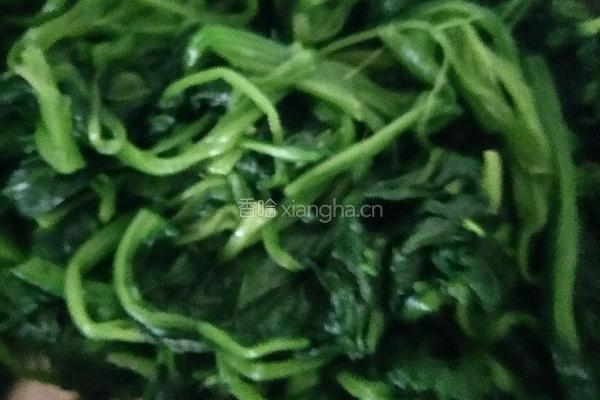 炝拌菠菜的做法图解3