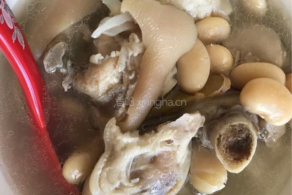 芸豆猪蹄汤的做法图解4