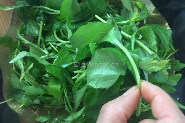 粟米拌马兰的做法图解3