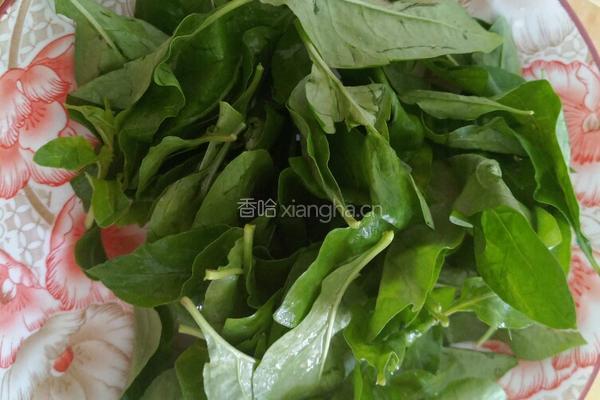 客家擂茶的做法图解2