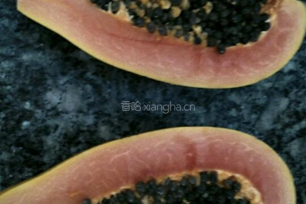 木瓜酸奶的做法图解2
