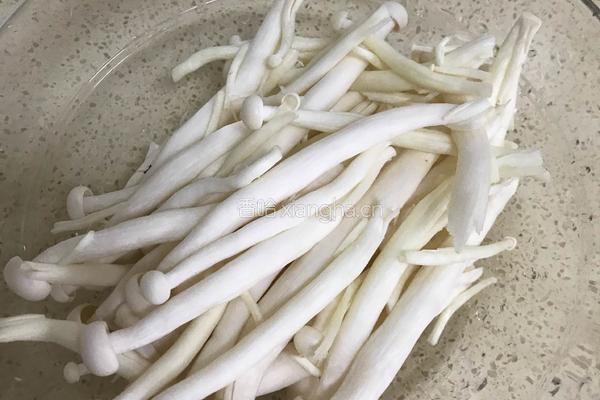 耗油白玉菇的做法图解3