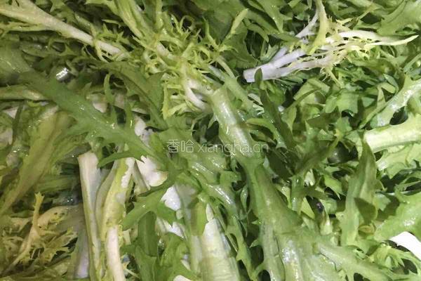 凉拌苦菊的做法图解12