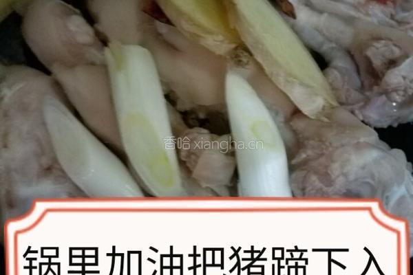 花生焖猪蹄的做法图解5