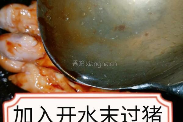 花生焖猪蹄的做法图解9