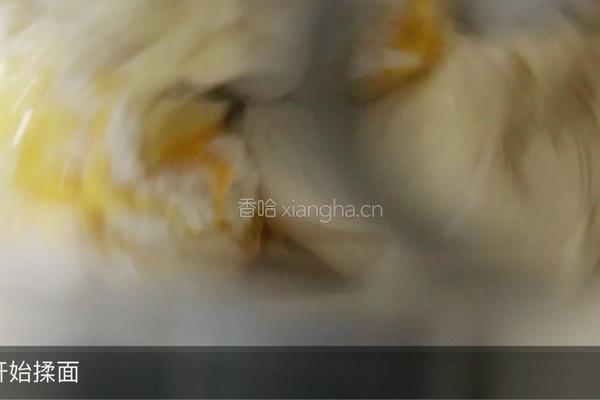 黑芝麻吐司的做法图解10