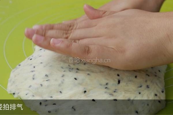 黑芝麻吐司的做法图解16