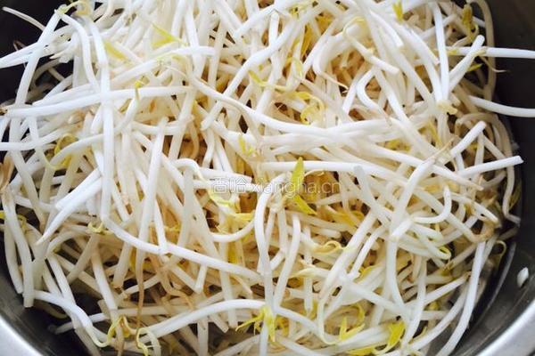 黄豆芽炒粉条的做法图解1