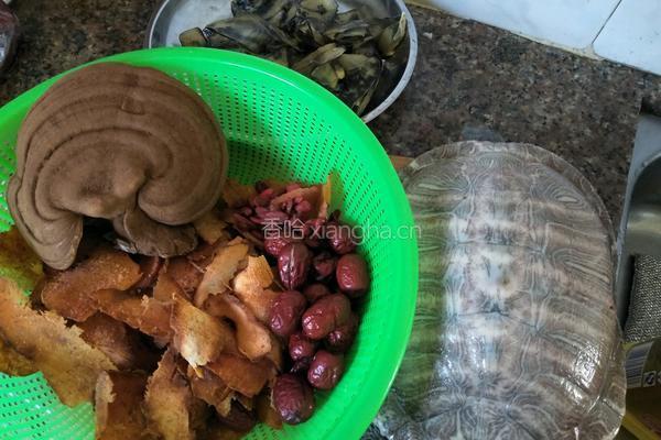 灵芝土茯苓乌龟汤的做法图解1