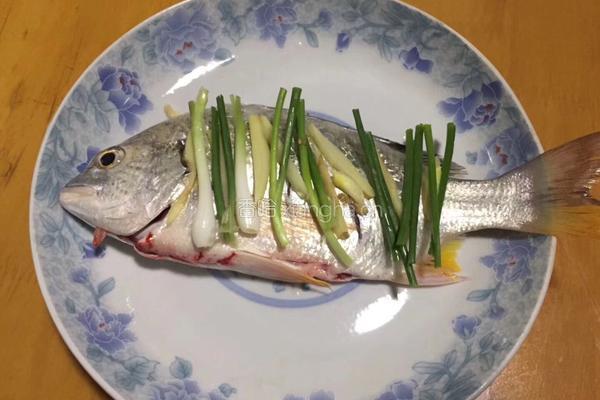 清蒸野生原味黄翅鱼的做法图解2