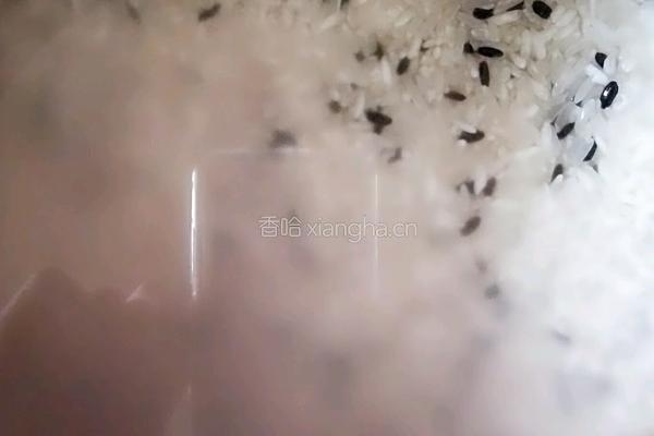黑白配的做法图解4