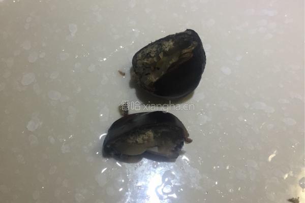 桂花糖水栗的做法图解10