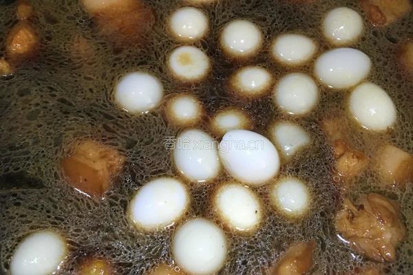 红烧卤鹌鹑蛋的做法图解3
