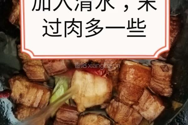 家庭顿肉的做法图解12