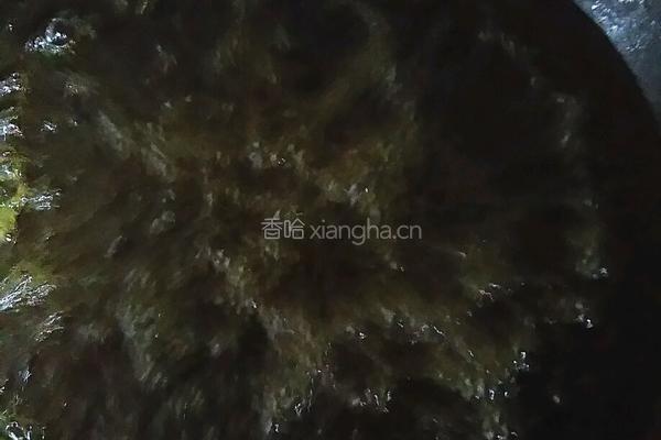 秘制狮子头的做法图解6
