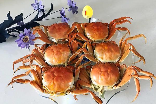 清蒸大闸蟹（原味）的做法图解6