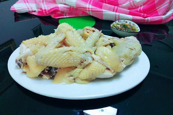 茶花白切鸡的做法图解10