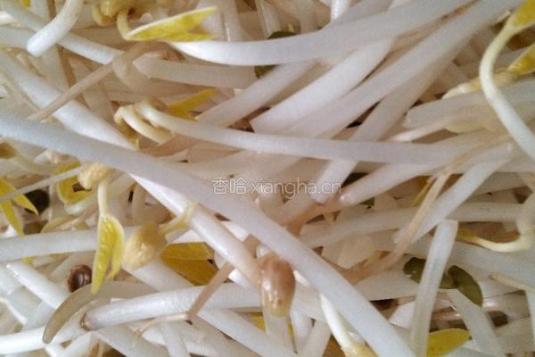 肉炒三丝的做法图解4