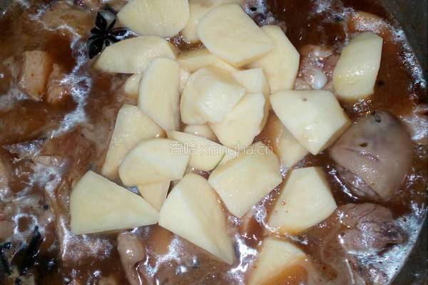 土豆炖鸡的做法图解12