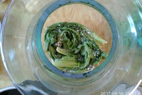 泡菜的做法图解6