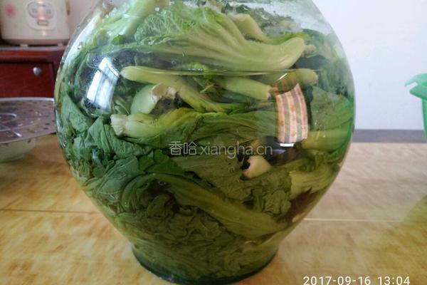 泡菜的做法图解9