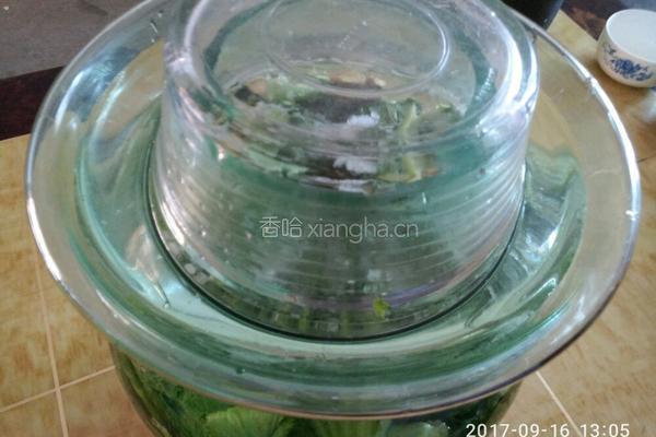 泡菜的做法图解10
