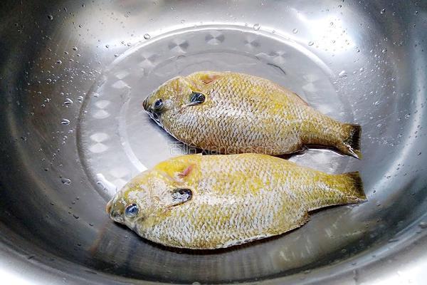 清蒸太阳鱼的做法图解1