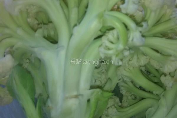 菜花颈的做法图解1