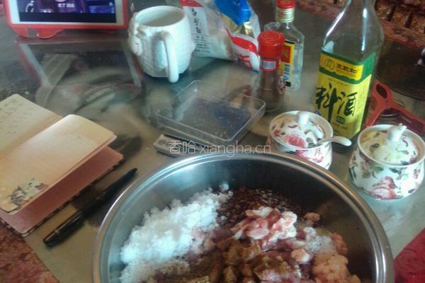 麻辣风干肠的做法图解3